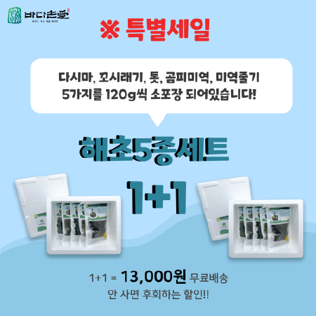 바다손애 염장 해초 5종 1 + 1 특별세일