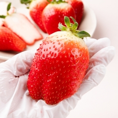 프리미엄 국내산 고당도 킹스베리