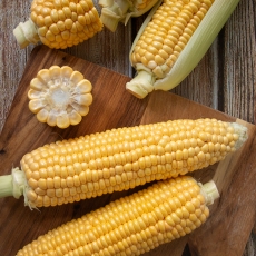 (냉동) 강원도 초당 옥수수 (특) 10개입/20개입