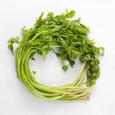 청정 자연의 동곡 돌미나리 1kg/2kg/4kg