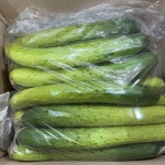 시원하고 아삭한 국내산 백다다기 오이 2kg/3kg/4kg/5kg