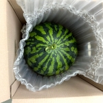 13brix 고당도 하우스 수박 3kg/4kg/5kg/6kg