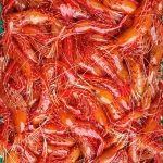 국내산 동해안 독도새우 2종 (믹스) 500g (20-30미)