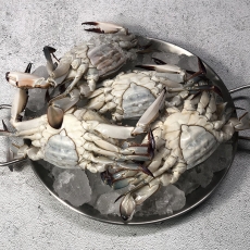 국내산 서해안 활 암꽃게 1kg(4~6미)