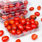스테비아 방울토마토 500g 2팩/3팩/4팩