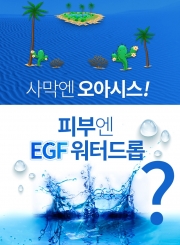 [DHB] EGF 워터드롭 핸드&바디로션 500ml  ( 100개 한정판매)