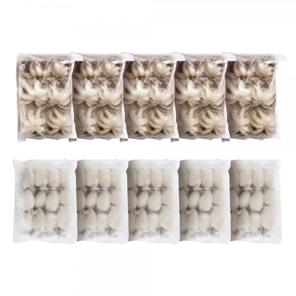 하이쇼핑 한농식 쭈꾸미와 갑오징어 자연산 손질 세척 냉동 1.8kg 10팩