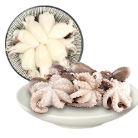 하이쇼핑 한농식 쭈꾸미와 갑오징어 자연산 손질 세척 냉동 1.8kg 10팩