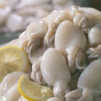 하이쇼핑 한농식 쭈꾸미와 갑오징어 자연산 손질 세척 냉동 1.8kg 10팩