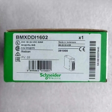 SCHNEIDER BMXDDI1602