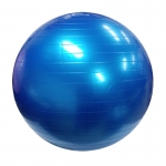 짐볼 -블루 55cm 65cm 요가 운동 다이어트 용품 기구