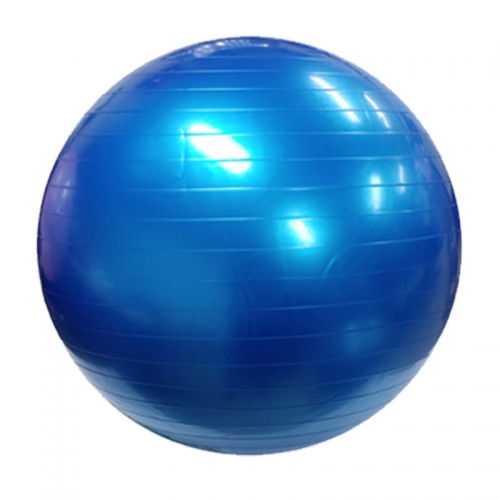 짐볼 -블루 55cm 65cm 요가 운동 다이어트 용품 기구