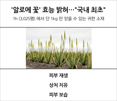 첨부이미지