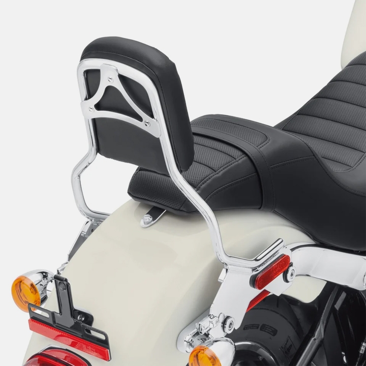 탈부착형 스탠더드 시시바 업라이트 - 크롬 (18년 이후 스포츠 글라이드&로우 라이더)