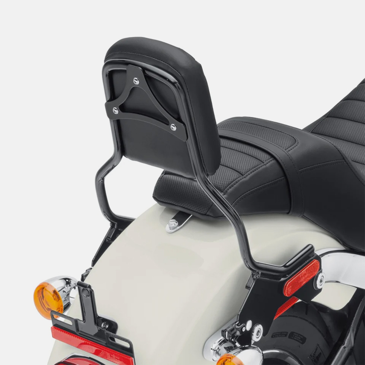 탈부착형 스탠더드 시시바 업라이트 - 블랙 (18년 이후 스포츠 글라이드&로우 라이더)