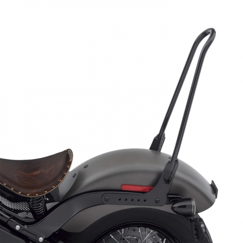 21인치 고정형 톨 시시바 - 블랙 (18년 이후 소프테일)