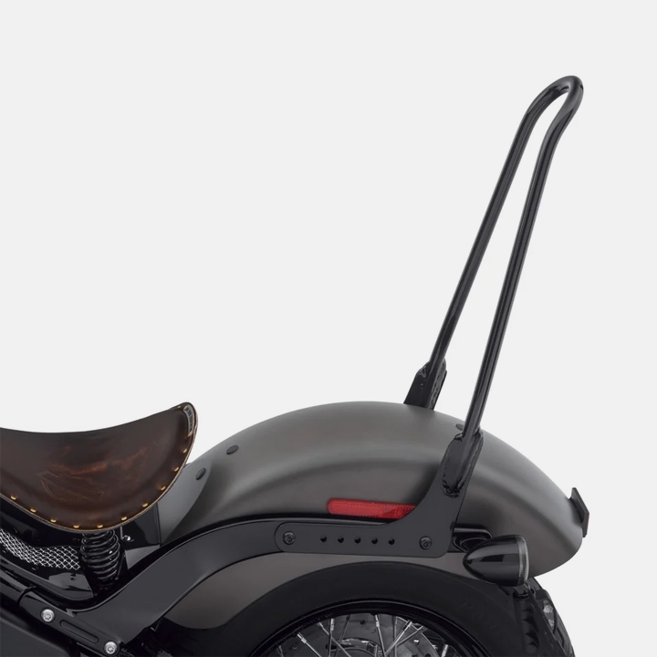 21인치 고정형 톨 시시바 - 블랙 (18년 이후 소프테일)