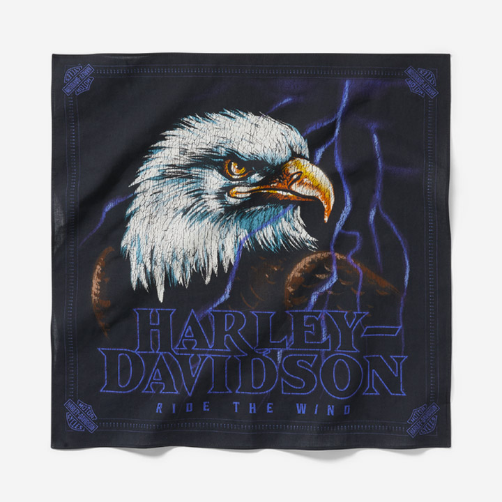 라이트닝 이글 반다나