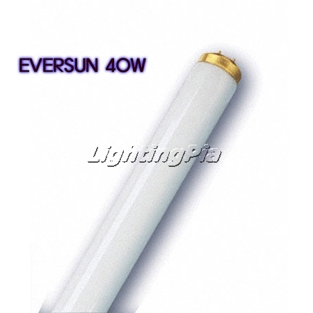 오스람 40W EVERSUN 썬탠 램프(UV-A 40W)
