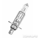 오스람 할로겐램프 12V 55W(H1 64150)(10개)