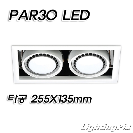 PAR30 멀티 2등 매입등(타공255*135mm)-백색/흑색