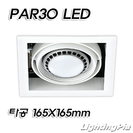 캐스팅 PAR30 멀티 1등 매입등(타공165*165mm)-백색/흑색