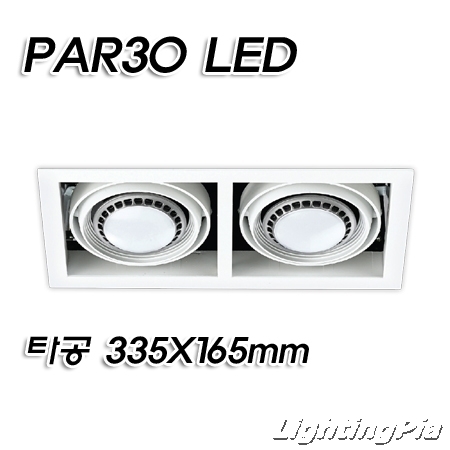 캐스팅 PAR30 멀티 2등 매입등(타공335*165mm)-백색/흑색