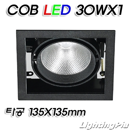 멀티1등 COB LED 30W 1등(타공135*135mm)-흑색/백색