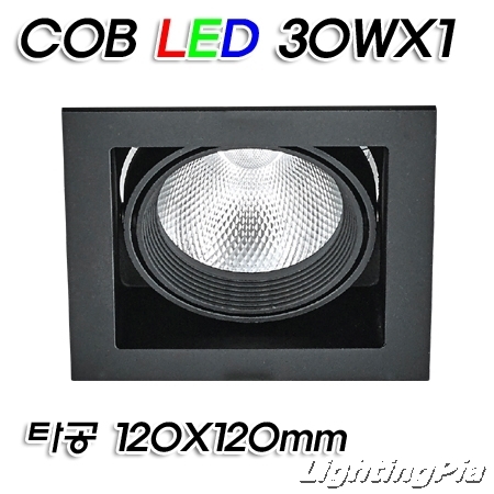 멀티1등 COB LED 30W 1등(타공120*120mm)-흑색/백색