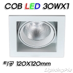 멀티1등 COB LED 30W 1등(타공120*120mm)-흑색/백색