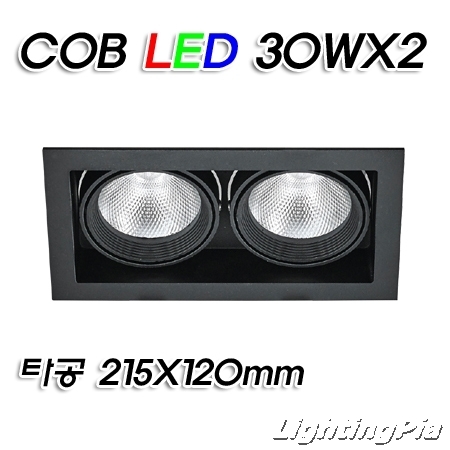멀티2등 COB LED 30W 2등(타공215*120mm)-흑색/백색