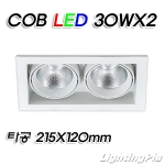 멀티2등 COB LED 30W 2등(타공215*120mm)-흑색/백색