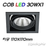 멀티1등 COB LED 30W 1등(타공170*170mm)-흑색/백색