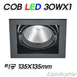 MTS 멀티1등 COB LED 30W 1등(타공135*135mm)-흑색/백색