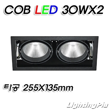 멀티2등 COB LED 30W 2등(타공255*135mm)-흑색/백색