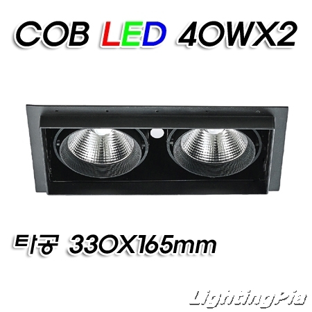 누드 멀티2등 COB LED 40W 2등(타공330*165mm)-흑색/백색