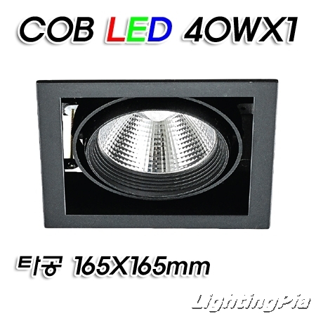 캐스팅 멀티1등 COB LED 40W 1등(타공165*165mm)-흑색/백색