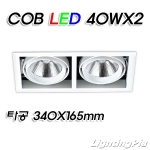 캐스팅 멀티2등 COB LED 40W 2등(타공340*165mm)-흑색/백색