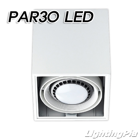 노출 PAR30 직사각 1등(165*165*150mm)-흑색/백색