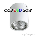 원통 COB LED 30W 직부등(Φ135*H160mm)-흑색/백색