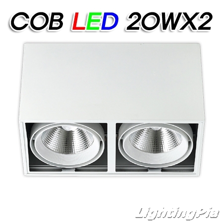 노출 직부 COB LED 20W 2등(L310*W165*H185mm)-흑색/백색