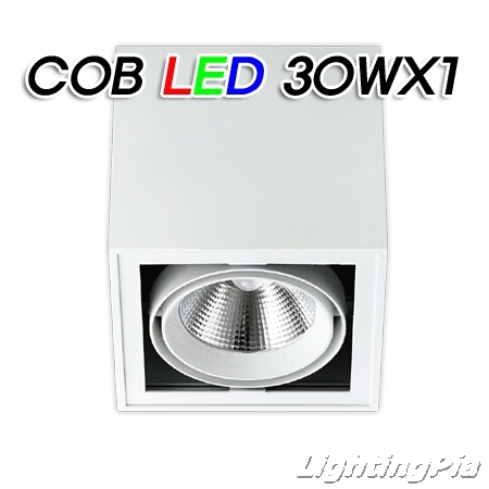 노출 직부 COB LED 30W 1등(L185*W185*H185mm)-흑색/백색