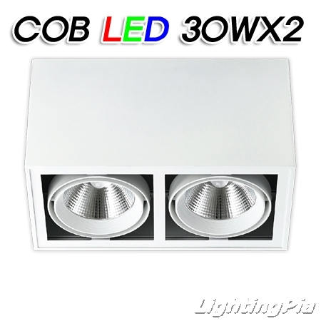 노출 직부 COB LED 30W 2등(L325*W185*H185mm)-흑색/백색