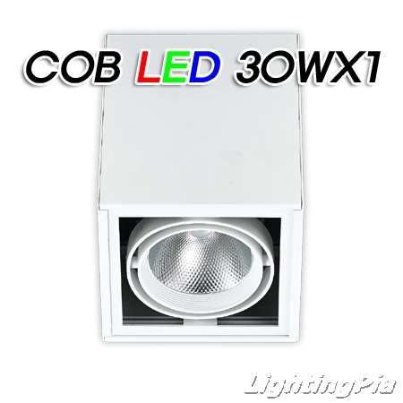 노출T/C 직부 COB LED 30W 1등(L150*W150*H185mm)-흑색/백색