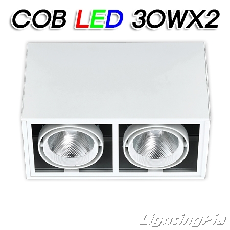 노출T/C 직부 COB LED 30W 2등(L310*W150*H185mm)-흑색/백색