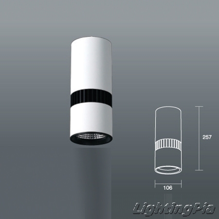 CL100 LED SLM(COB) 3000lm, 30W 직부 백색/흑색