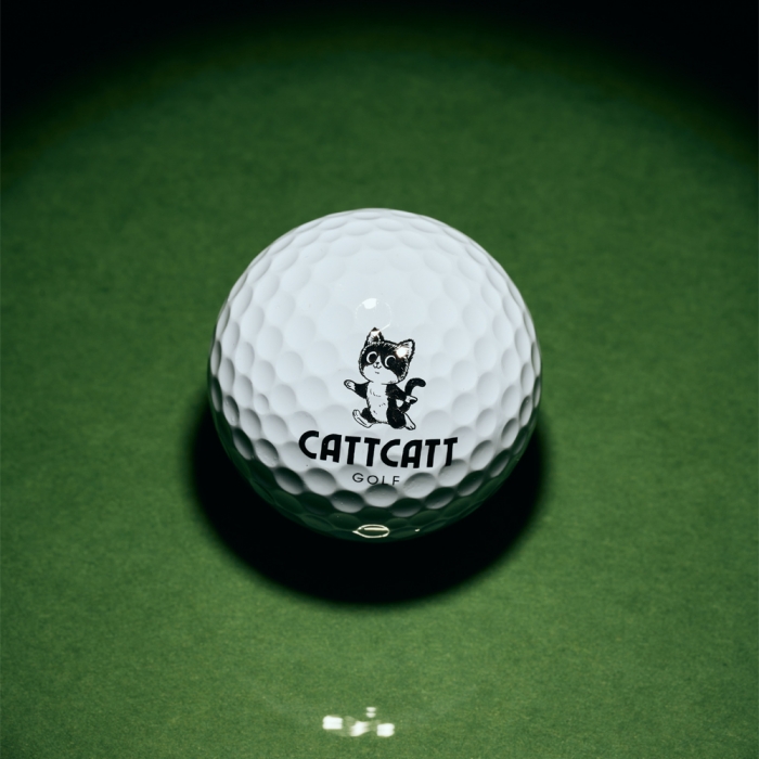 캣캣 X1 2피스 골프공 1DZ 12개입