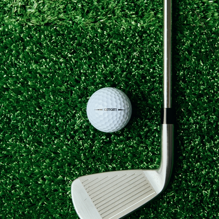 캣캣 X1 2피스 골프공 1DZ 12개입