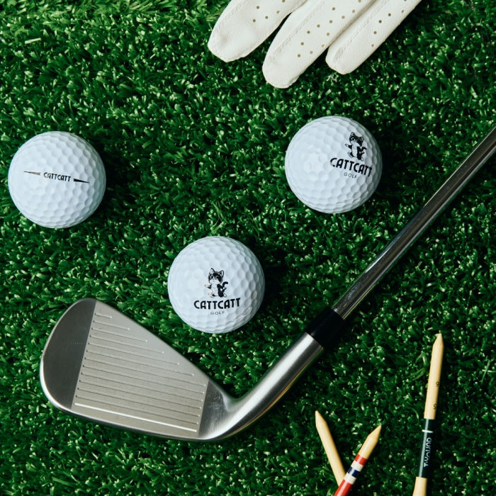 캣캣 X1 2피스 골프공 1DZ 12개입