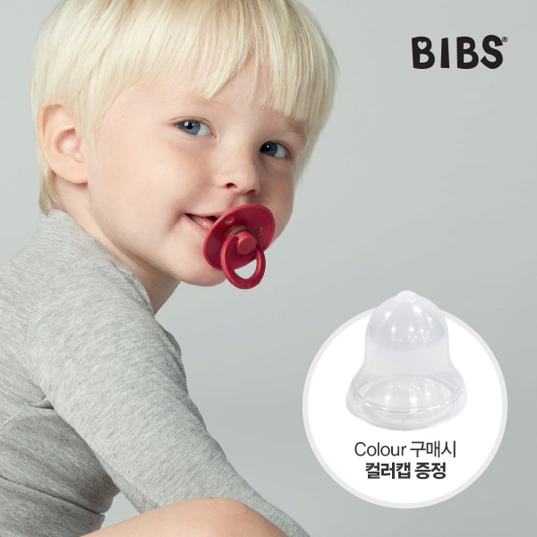 [BIBS DAY]빕스(BIBS) Colour 덴마크 노리개 젖꼭지 ※투명캡 증정※